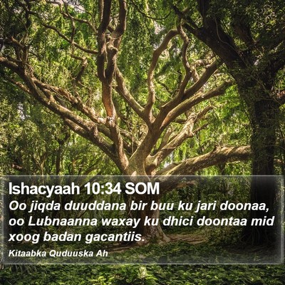 Ishacyaah 10:34 SOM Bible Verse Image