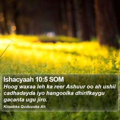 Ishacyaah 10:5 SOM Bible Verse Image