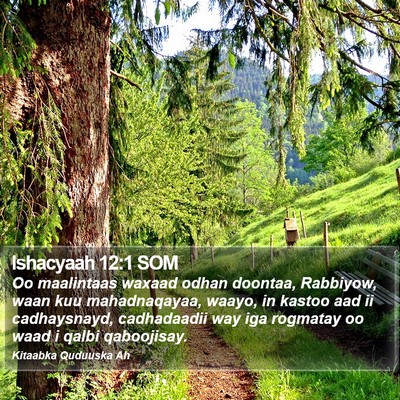 Ishacyaah 12:1 SOM Bible Verse Image