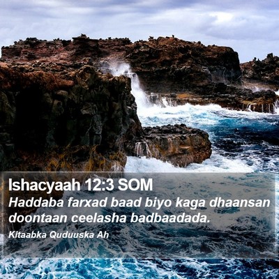 Ishacyaah 12:3 SOM Bible Verse Image