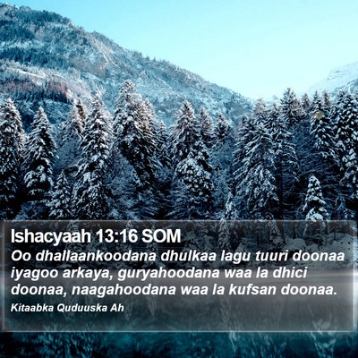 Ishacyaah 13:16 SOM Bible Verse Image