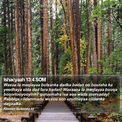 Ishacyaah 13:4 SOM Bible Verse Image