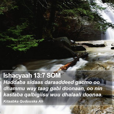 Ishacyaah 13:7 SOM Bible Verse Image