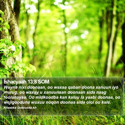 Ishacyaah 13:8 SOM Bible Verse Image