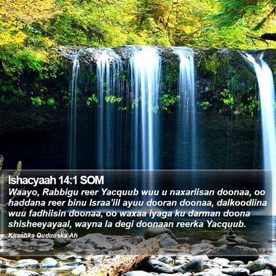 Ishacyaah 14:1 SOM Bible Verse Image
