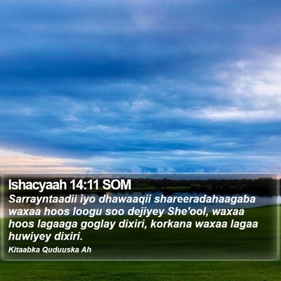Ishacyaah 14:11 SOM Bible Verse Image