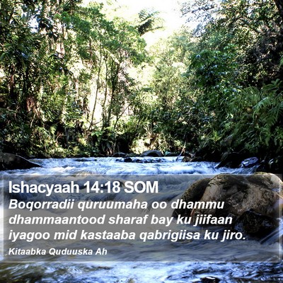 Ishacyaah 14:18 SOM Bible Verse Image
