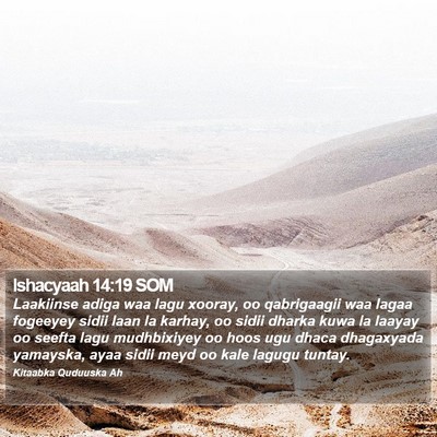 Ishacyaah 14:19 SOM Bible Verse Image