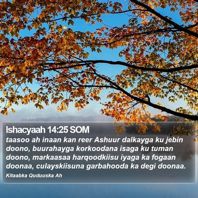 Ishacyaah 14:25 SOM Bible Verse Image