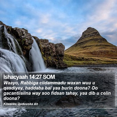 Ishacyaah 14:27 SOM Bible Verse Image