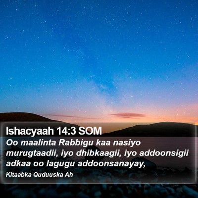 Ishacyaah 14:3 SOM Bible Verse Image