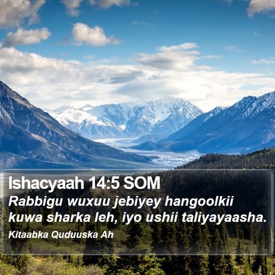 Ishacyaah 14:5 SOM Bible Verse Image