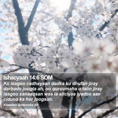 Ishacyaah 14:6 SOM Bible Verse Image