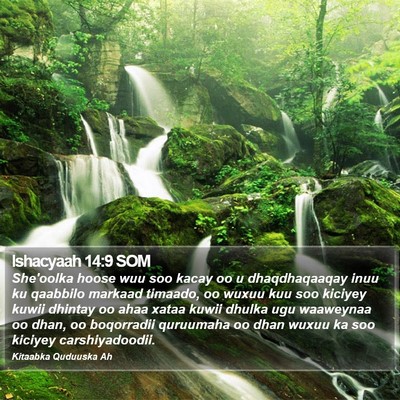 Ishacyaah 14:9 SOM Bible Verse Image
