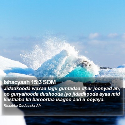 Ishacyaah 15:3 SOM Bible Verse Image