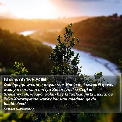 Ishacyaah 15:5 SOM Bible Verse Image