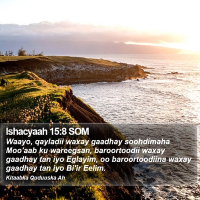Ishacyaah 15:8 SOM Bible Verse Image