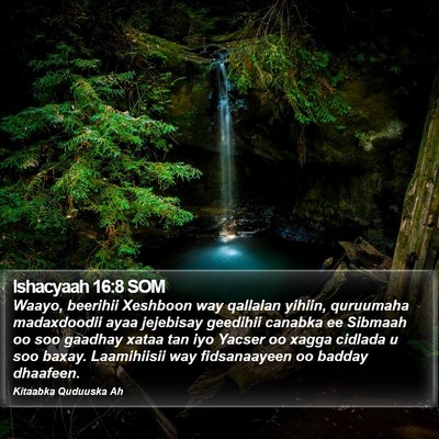 Ishacyaah 16:8 SOM Bible Verse Image