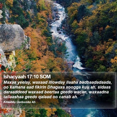 Ishacyaah 17:10 SOM Bible Verse Image