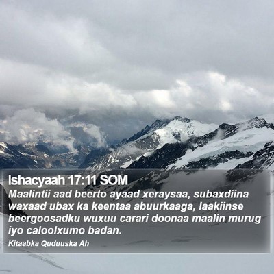 Ishacyaah 17:11 SOM Bible Verse Image