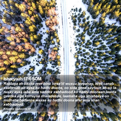 Ishacyaah 17:6 SOM Bible Verse Image