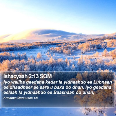 Ishacyaah 2:13 SOM Bible Verse Image