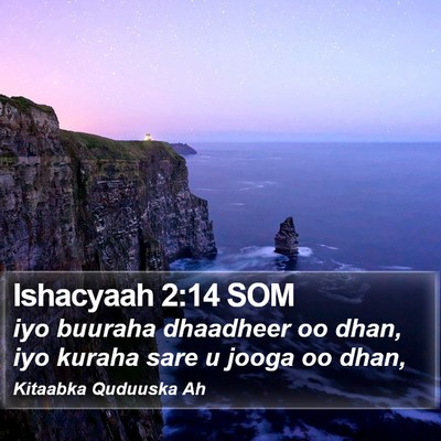 Ishacyaah 2:14 SOM Bible Verse Image