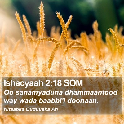 Ishacyaah 2:18 SOM Bible Verse Image