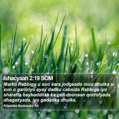 Ishacyaah 2:19 SOM Bible Verse Image