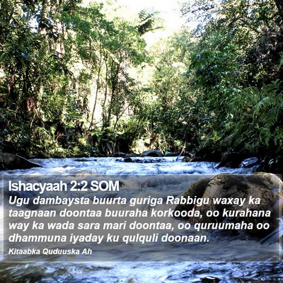 Ishacyaah 2:2 SOM Bible Verse Image