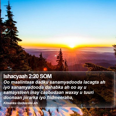 Ishacyaah 2:20 SOM Bible Verse Image