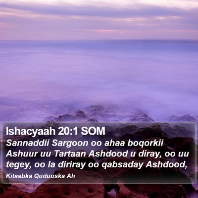 Ishacyaah 20:1 SOM Bible Verse Image