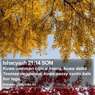 Ishacyaah 21:14 SOM Bible Verse Image
