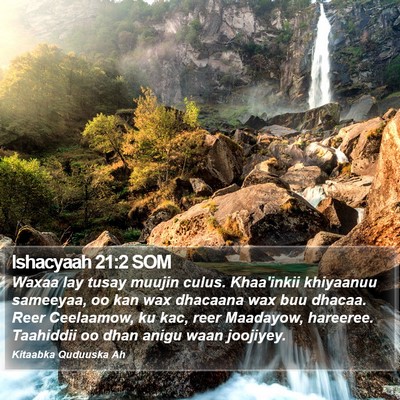 Ishacyaah 21:2 SOM Bible Verse Image