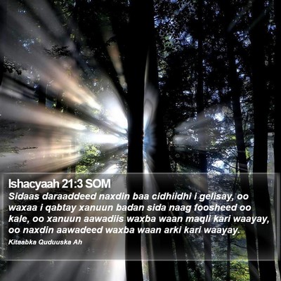 Ishacyaah 21:3 SOM Bible Verse Image