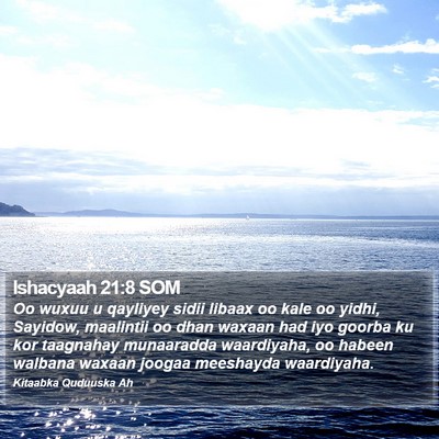 Ishacyaah 21:8 SOM Bible Verse Image