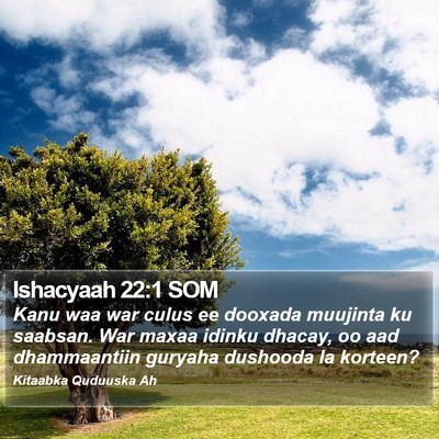 Ishacyaah 22:1 SOM Bible Verse Image