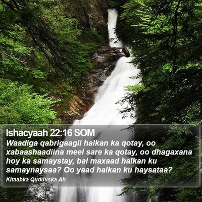 Ishacyaah 22:16 SOM Bible Verse Image