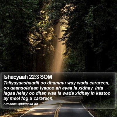 Ishacyaah 22:3 SOM Bible Verse Image