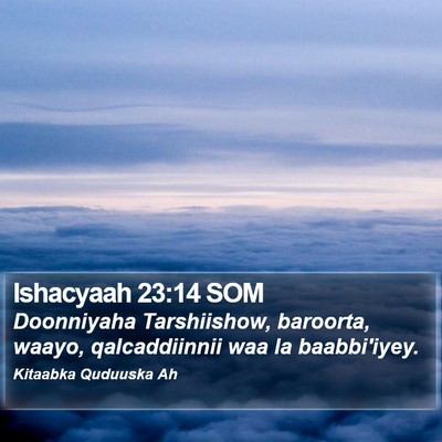 Ishacyaah 23:14 SOM Bible Verse Image