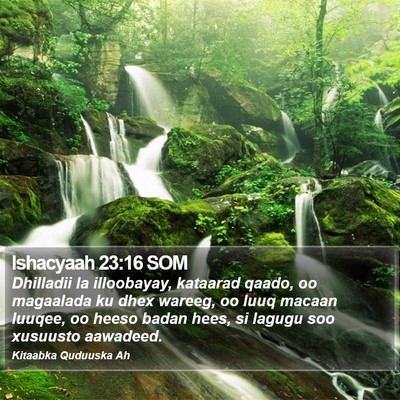 Ishacyaah 23:16 SOM Bible Verse Image