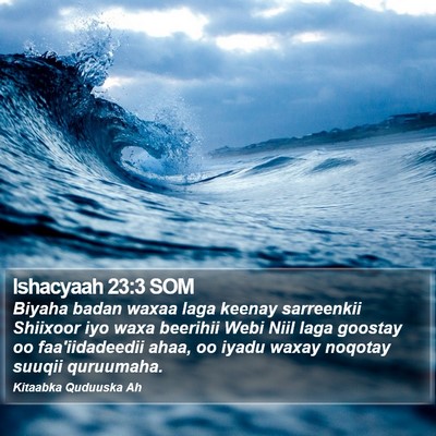 Ishacyaah 23:3 SOM Bible Verse Image