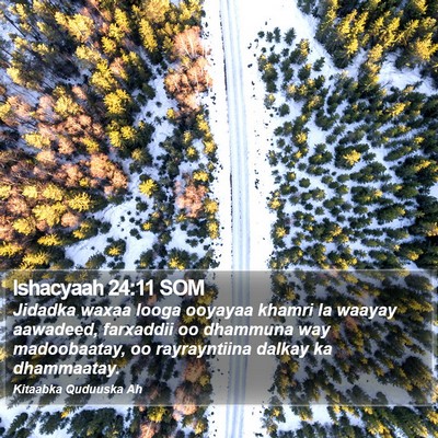 Ishacyaah 24:11 SOM Bible Verse Image
