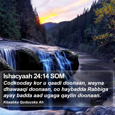 Ishacyaah 24:14 SOM Bible Verse Image