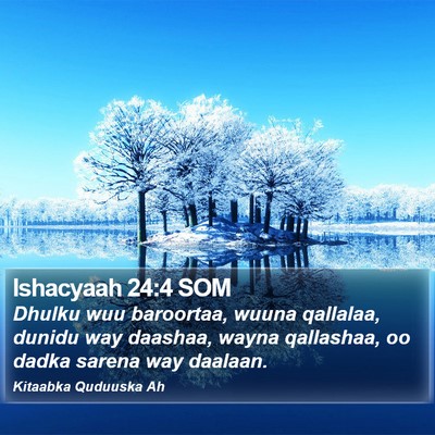 Ishacyaah 24:4 SOM Bible Verse Image