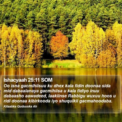 Ishacyaah 25:11 SOM Bible Verse Image