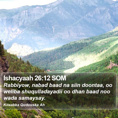 Ishacyaah 26:12 SOM Bible Verse Image