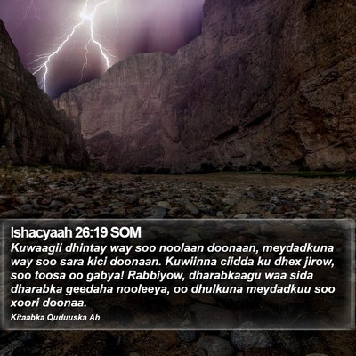 Ishacyaah 26:19 SOM Bible Verse Image