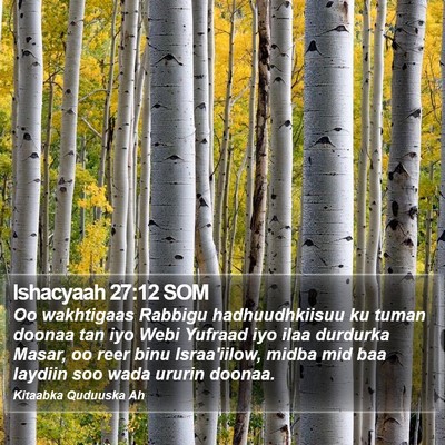 Ishacyaah 27:12 SOM Bible Verse Image