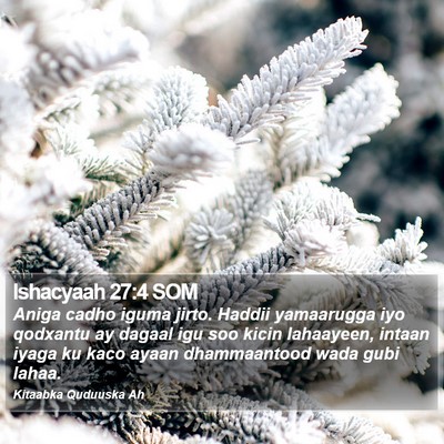 Ishacyaah 27:4 SOM Bible Verse Image